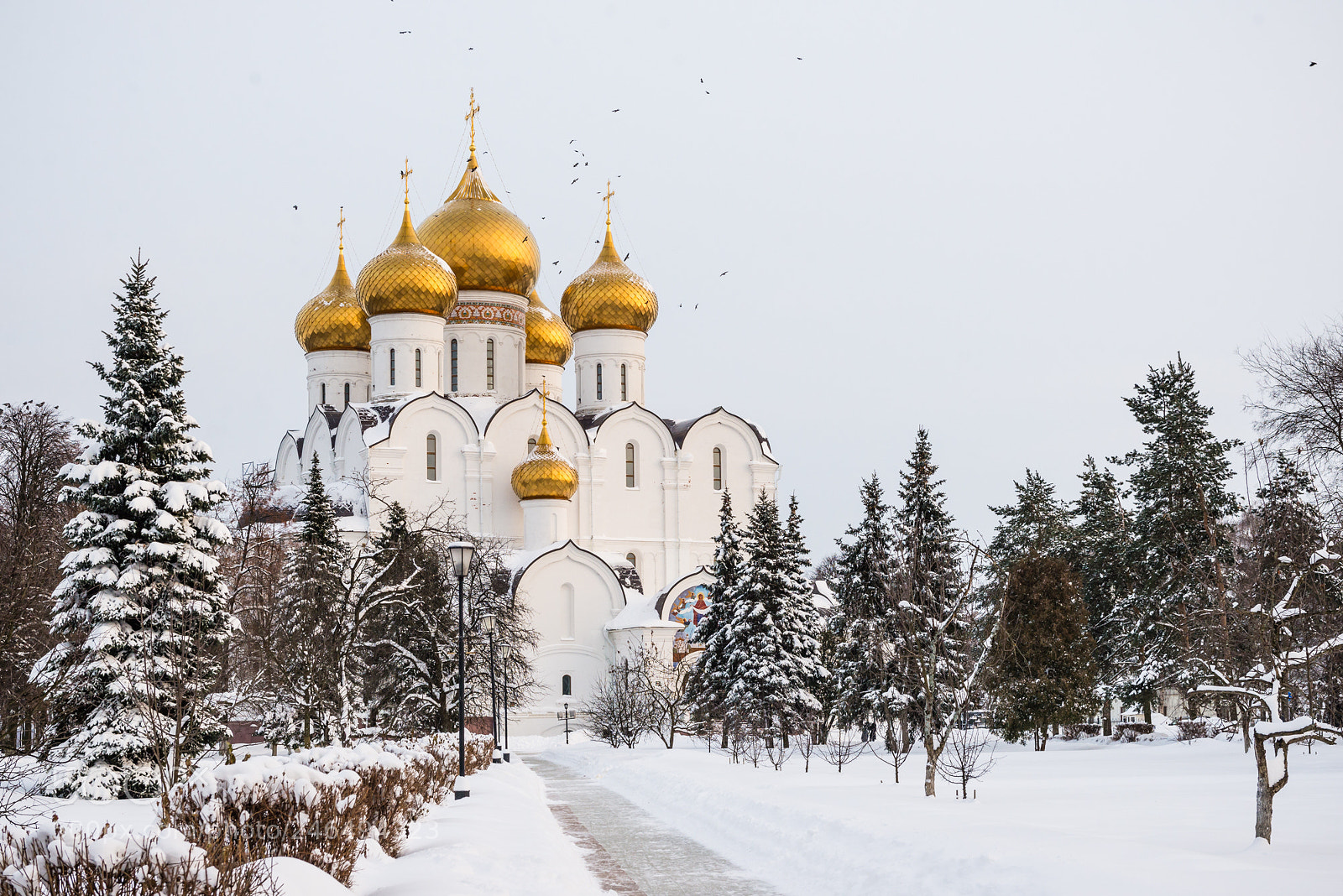 Nikon D610 sample photo. Church of maria. yaroslavl photography