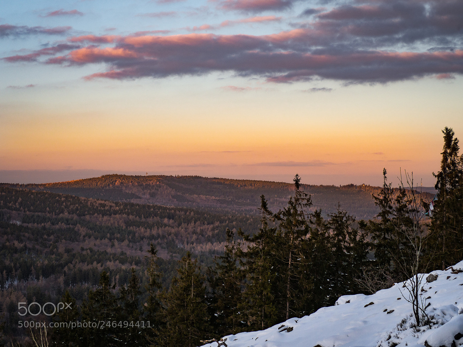 Olympus OM-D E-M10 sample photo. Taunus photography