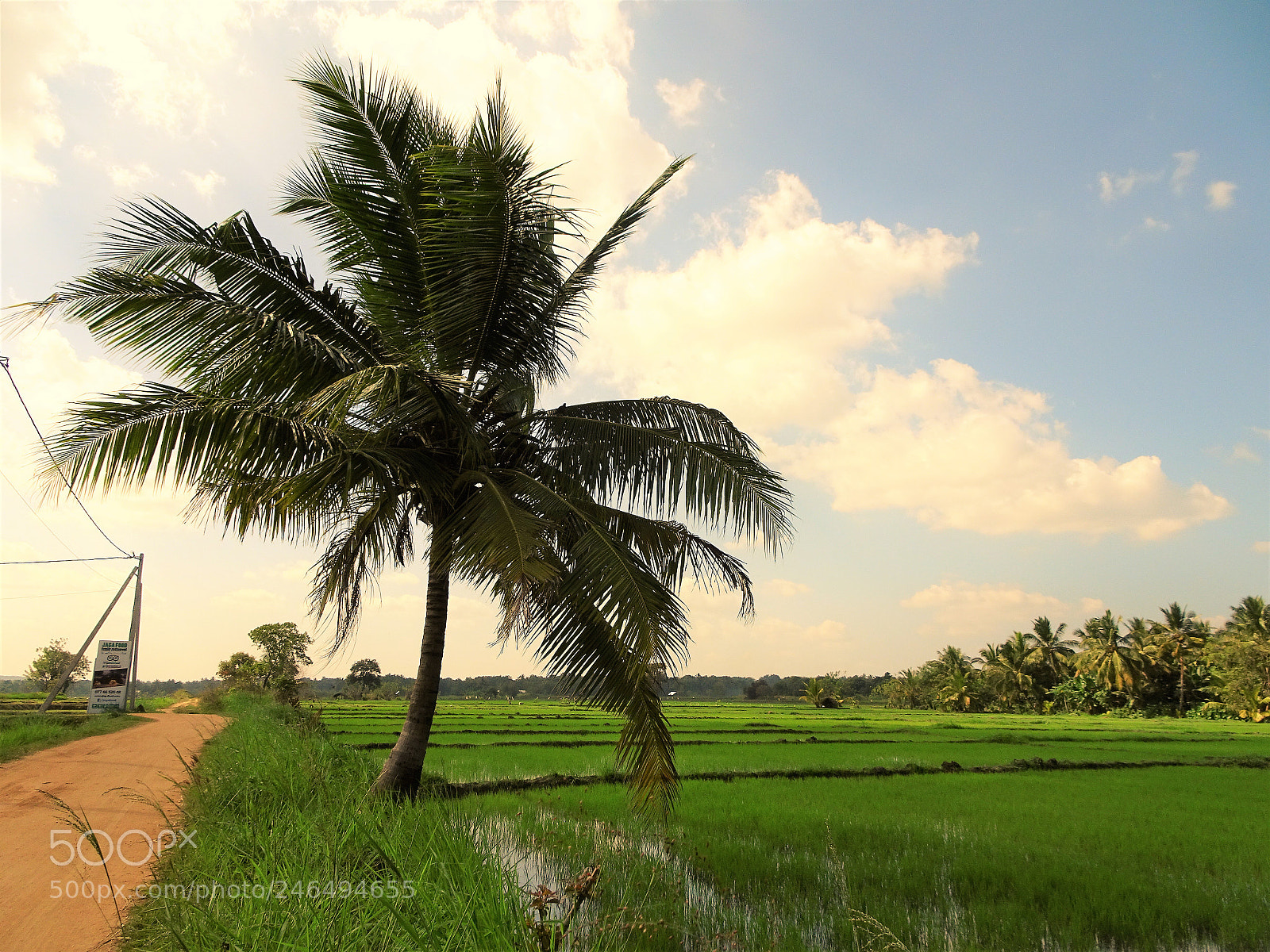 Sony Cyber-shot DSC-HX90V sample photo. Dsc photography