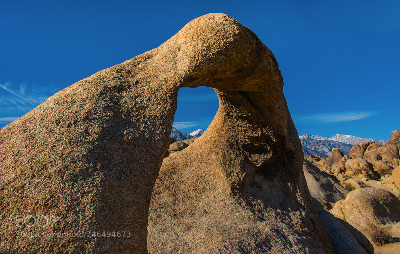 Nikon D600 sample photo. Whitney & mobius photography