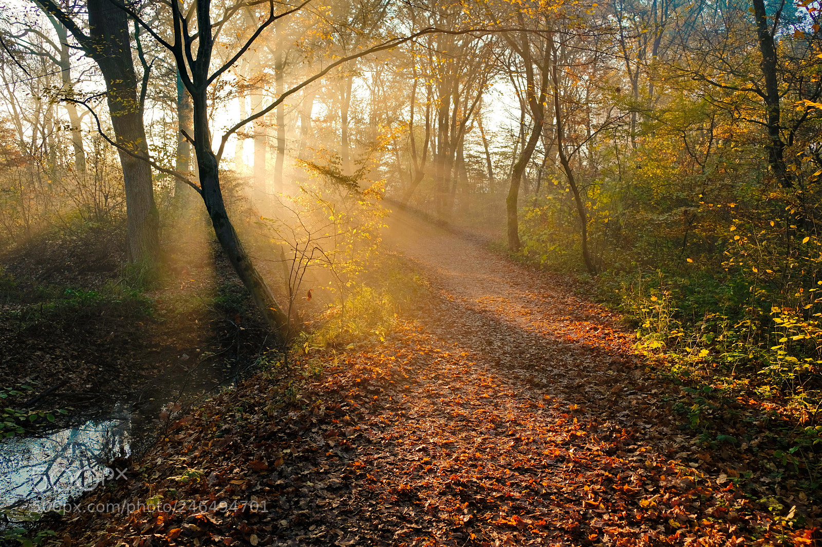 Fujifilm X-E3 sample photo. Sunrise photography
