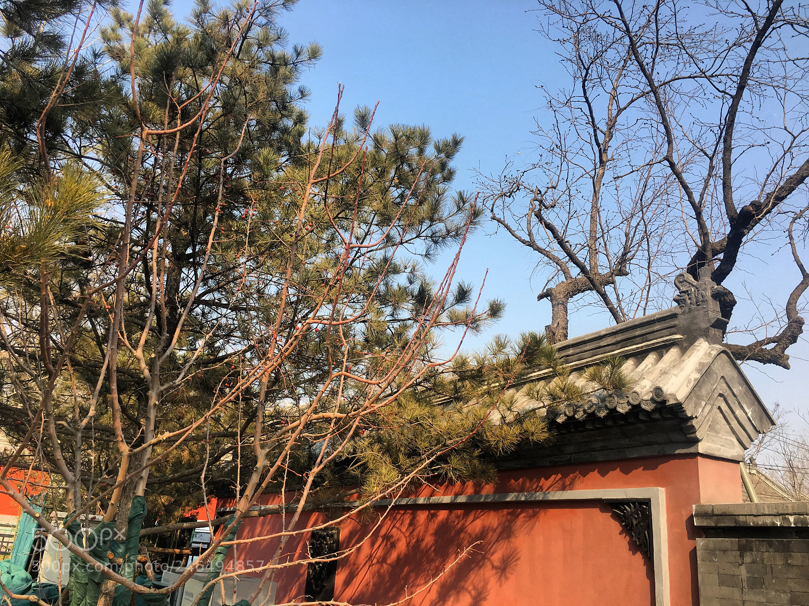 Apple iPhone 6s sample photo. Chinese new year street photography