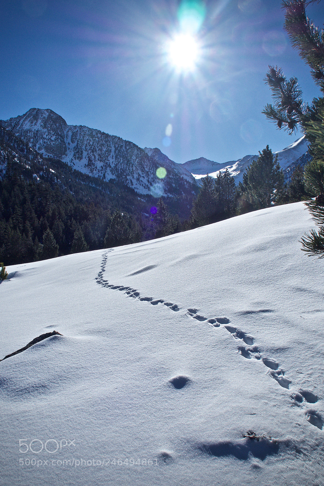 Olympus OM-D E-M10 II sample photo. Aigüestortes walk v photography