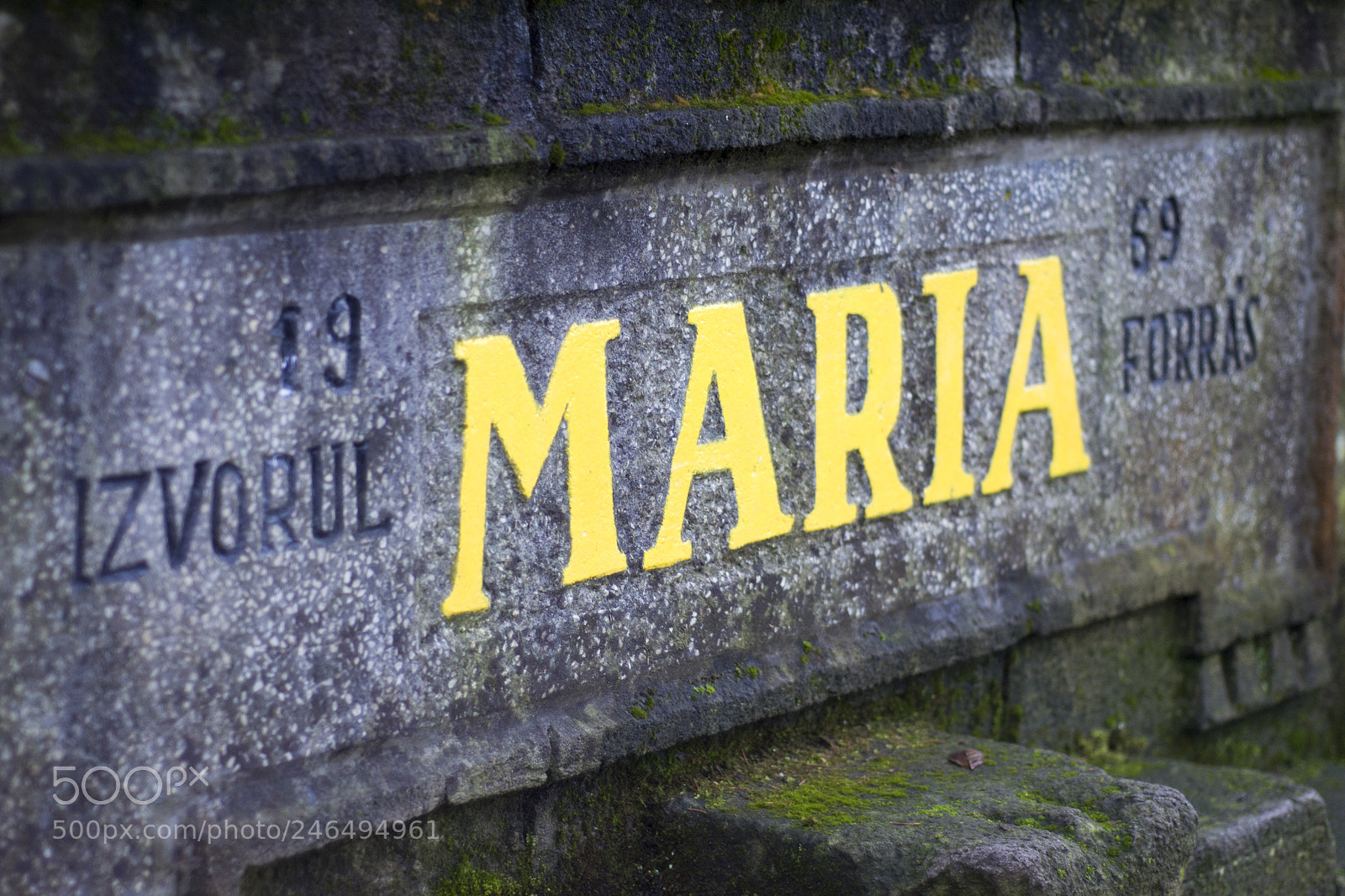 Nikon D3100 sample photo. Maria well photography