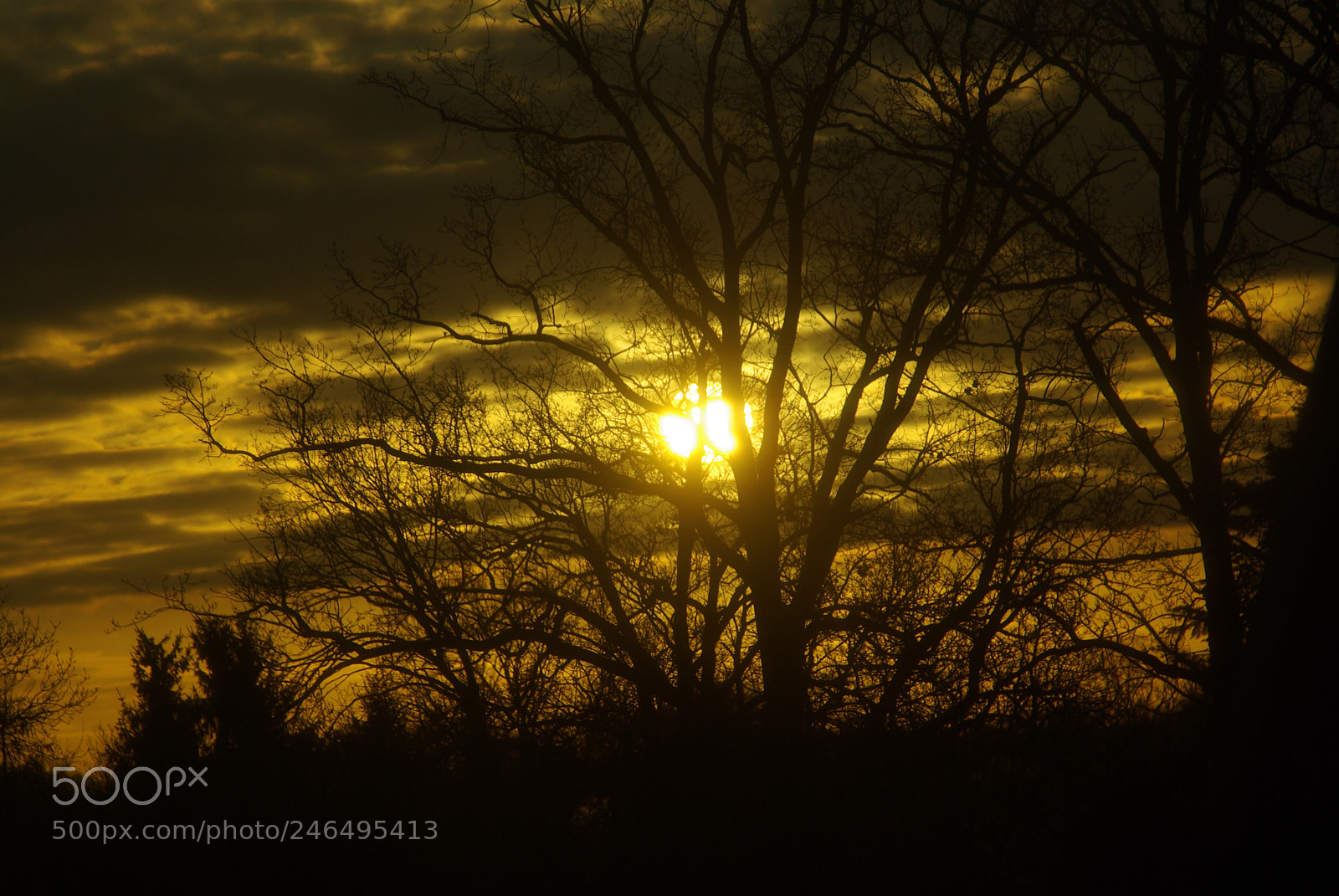 Pentax K10D sample photo. Wonderful sunrise photography