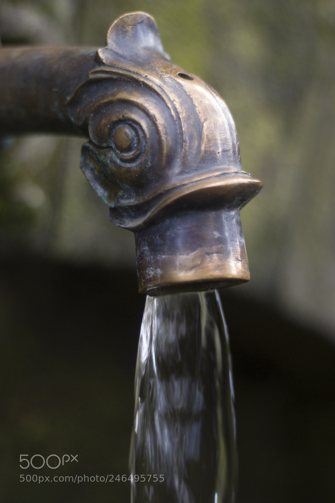 Nikon D3100 sample photo. Water photography