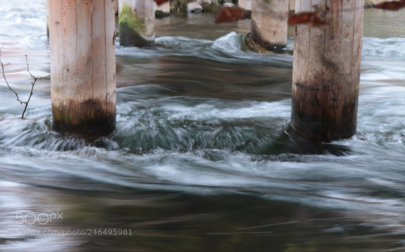 Canon EOS 77D (EOS 9000D / EOS 770D) sample photo. Untitled photography