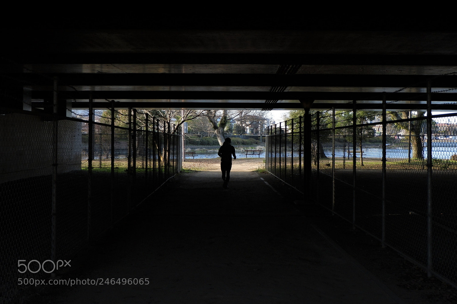 Fujifilm X-A3 sample photo. Running silhouette photography