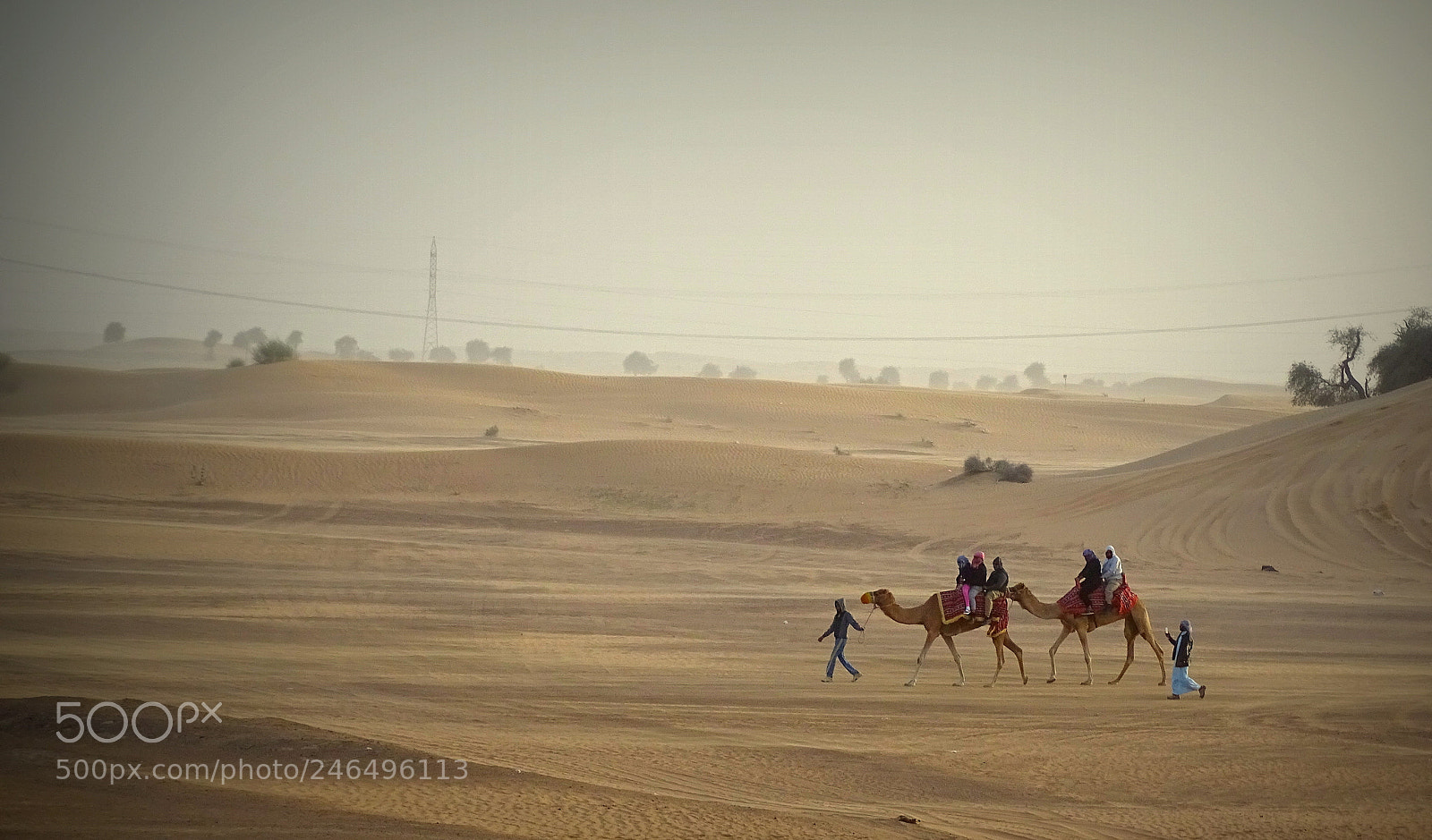 Sony Cyber-shot DSC-HX400V sample photo. Cruising the desert photography