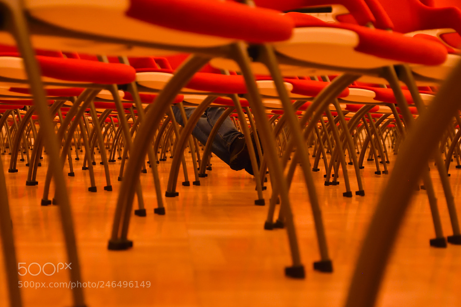 Nikon D7200 sample photo. Waiting photography