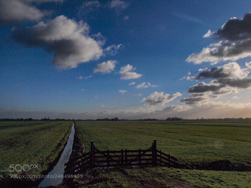 Olympus E-520 (EVOLT E-520) sample photo. Duifpolder. photography