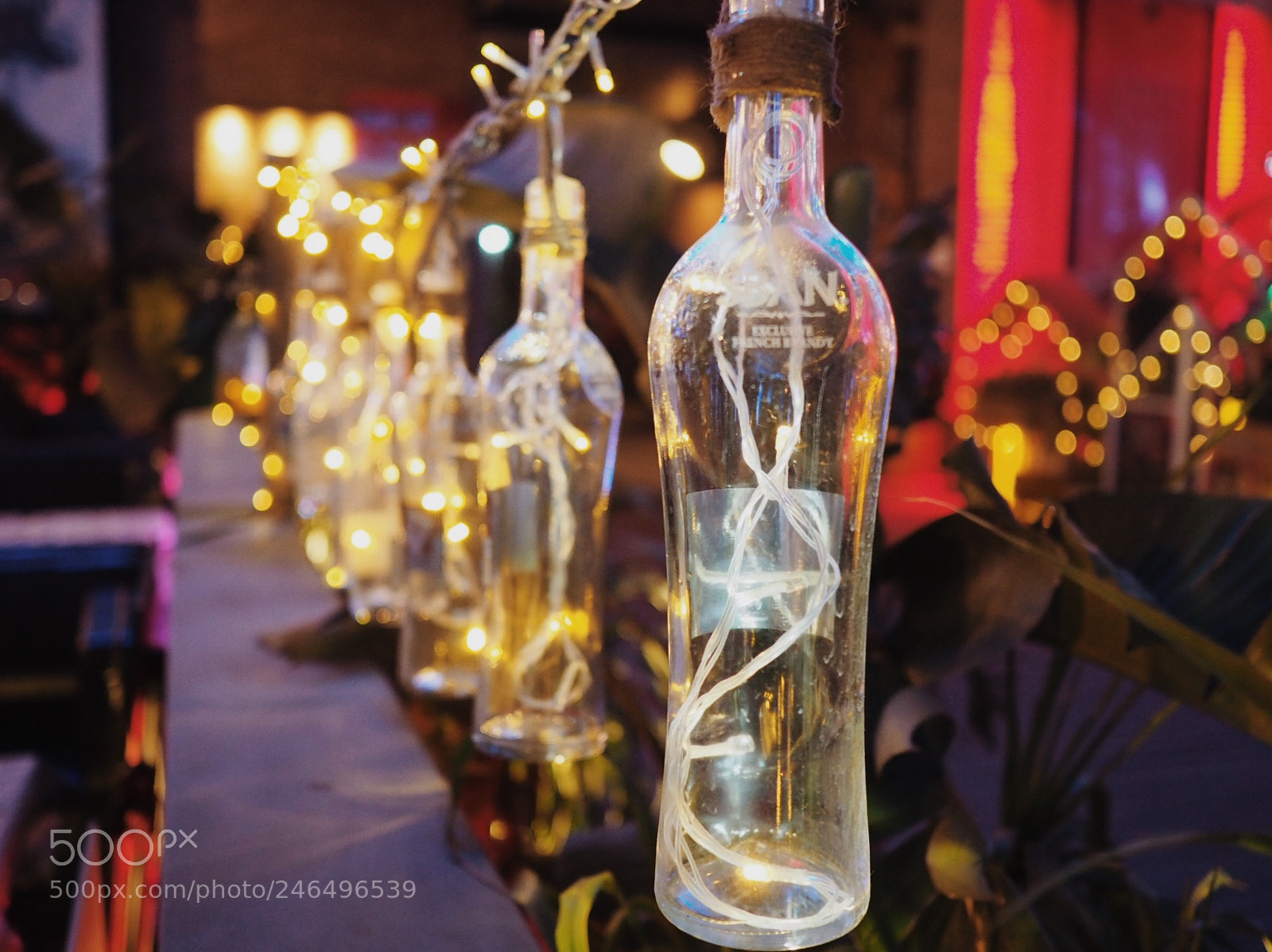 Olympus OM-D E-M5 II sample photo. Untitled photography