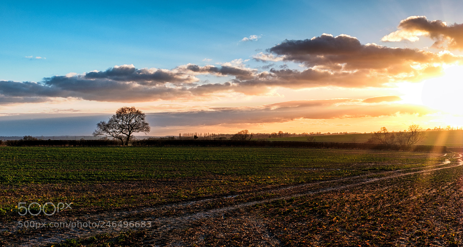 Fujifilm X-T2 sample photo. Thurgarton photography