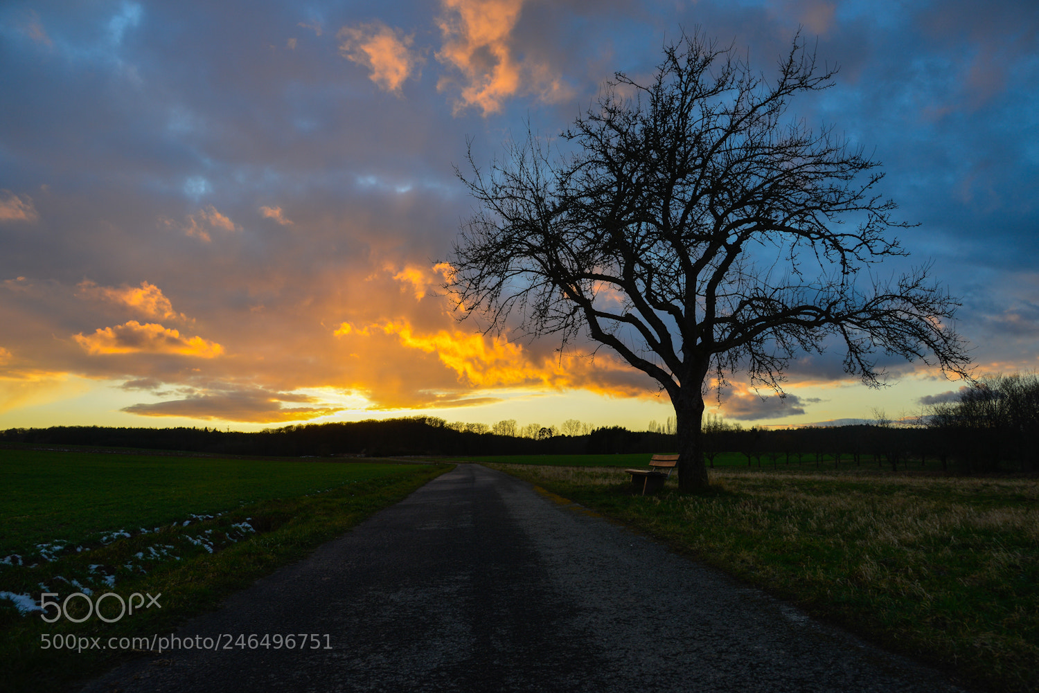 Nikon D800 sample photo. S u n s photography
