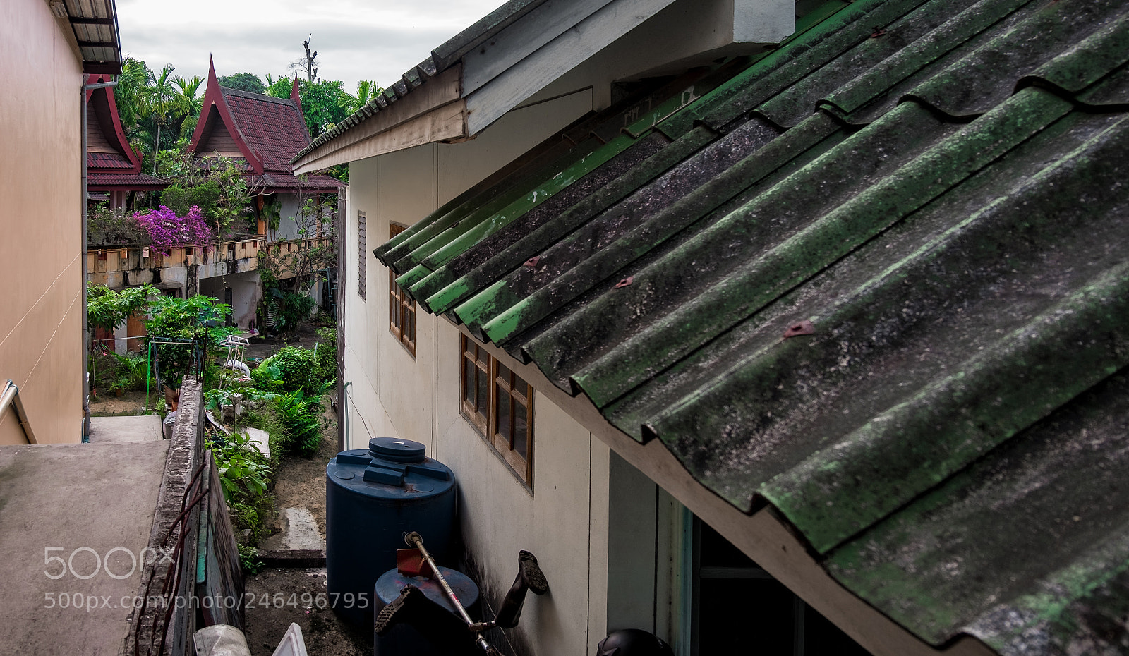 Fujifilm X-T10 sample photo. Yard photography