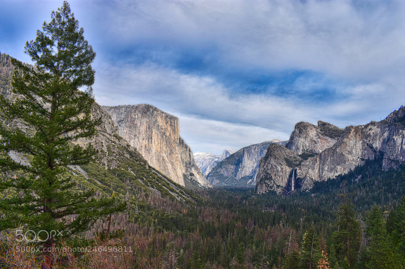 Nikon D3400 sample photo. Yosemite forest photography