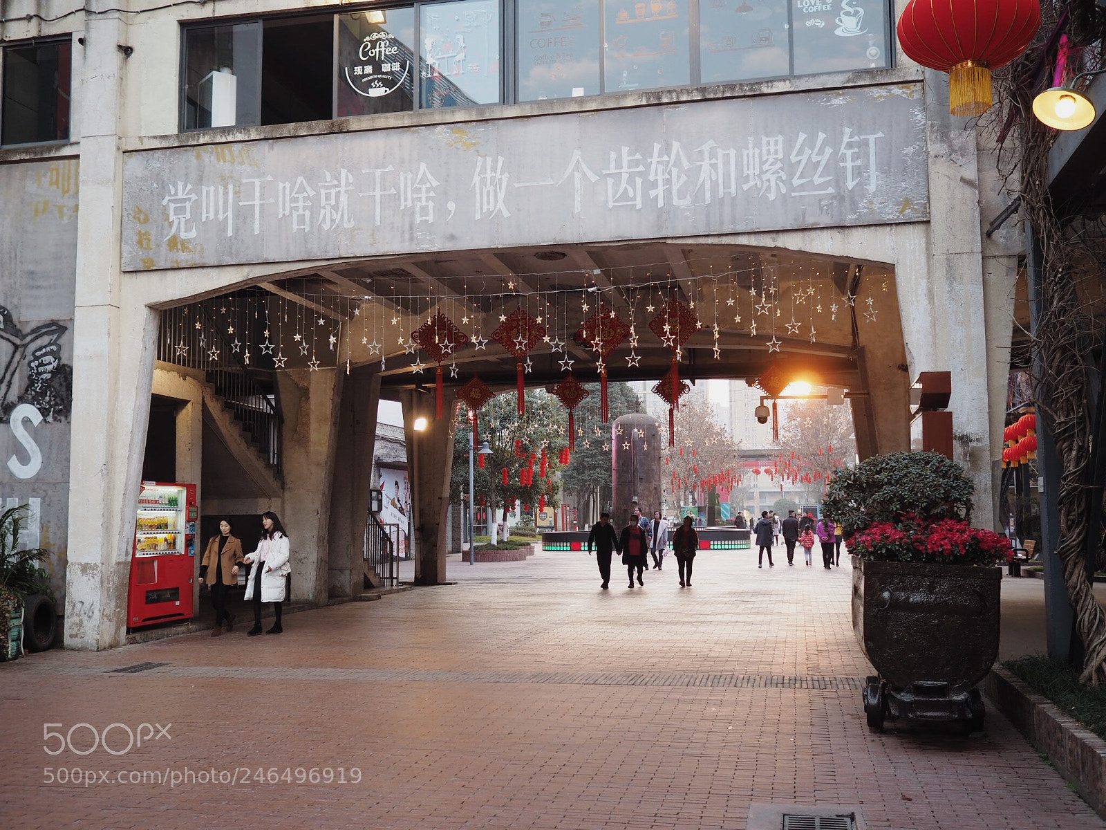 Olympus OM-D E-M5 II sample photo. Untitled photography