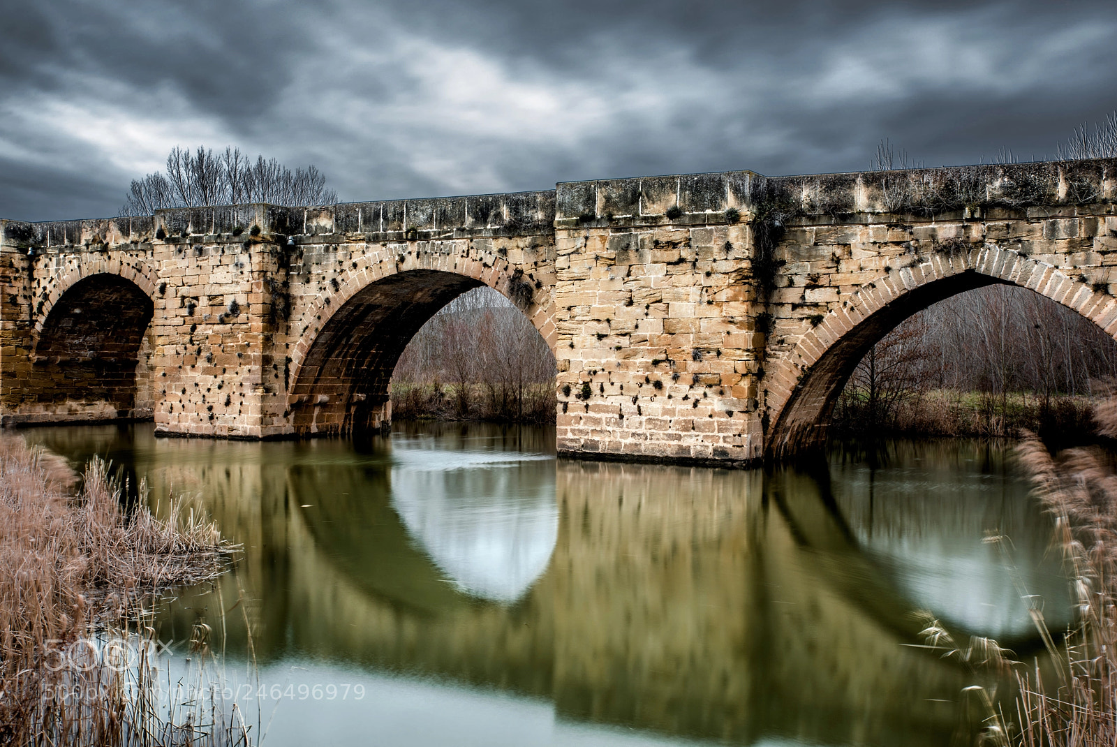 Nikon D810 sample photo. Medieval brigde of the photography