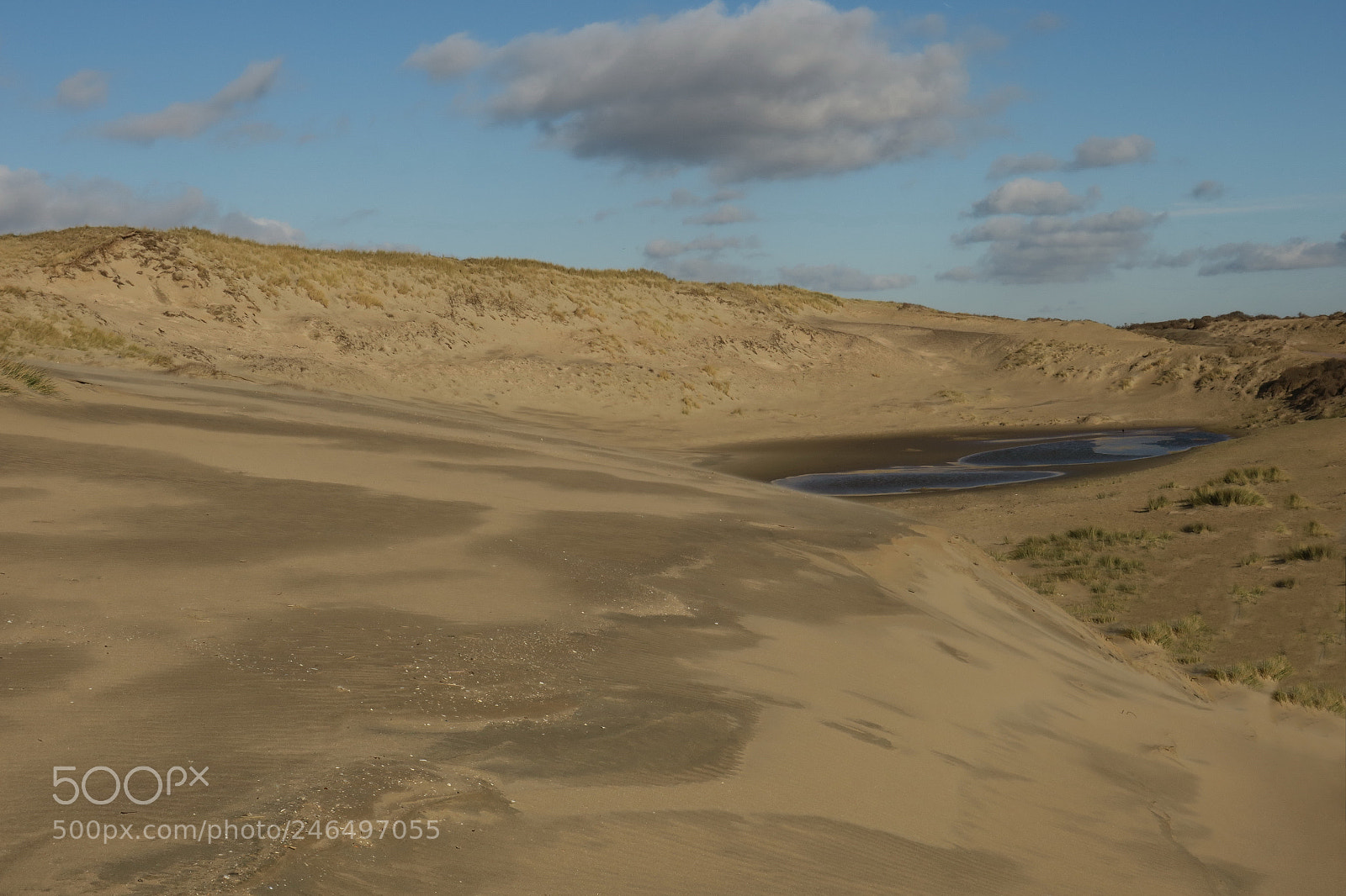 Canon PowerShot G3 X sample photo. Dunes at bloemendaal aan photography