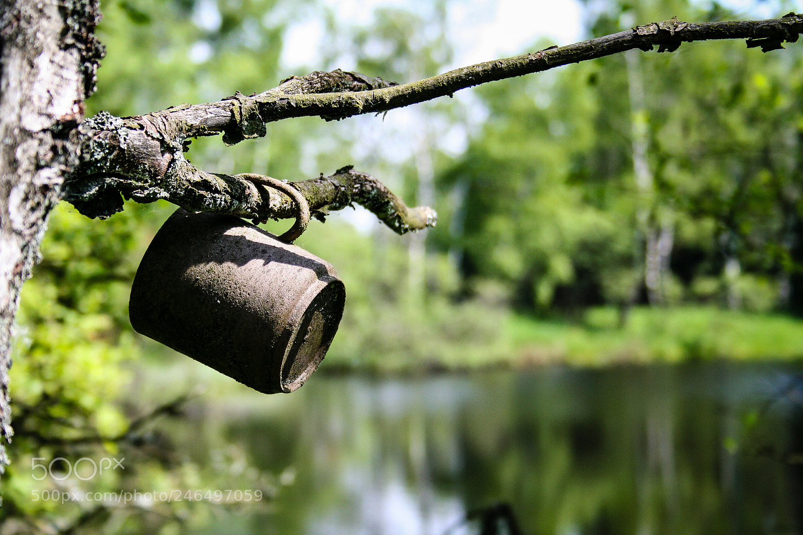 Canon EOS 350D (EOS Digital Rebel XT / EOS Kiss Digital N) sample photo. Rusty cup on tree photography