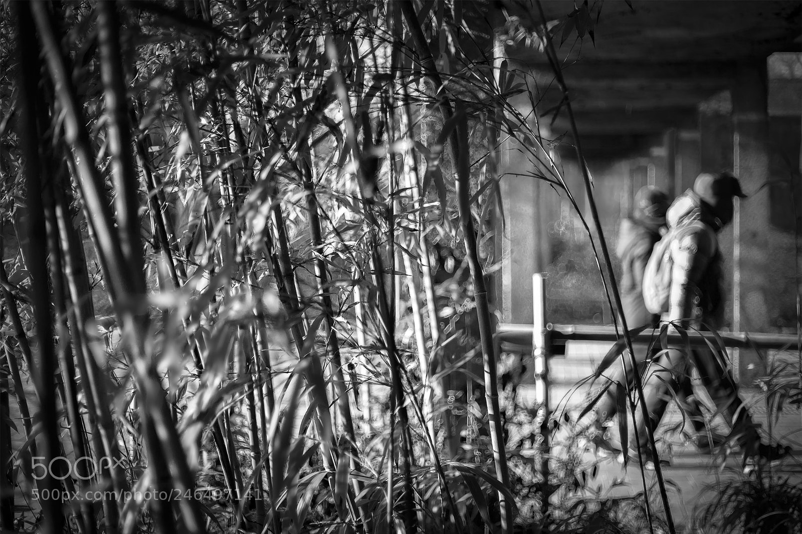 Canon EOS 5D sample photo. Go through a small photography