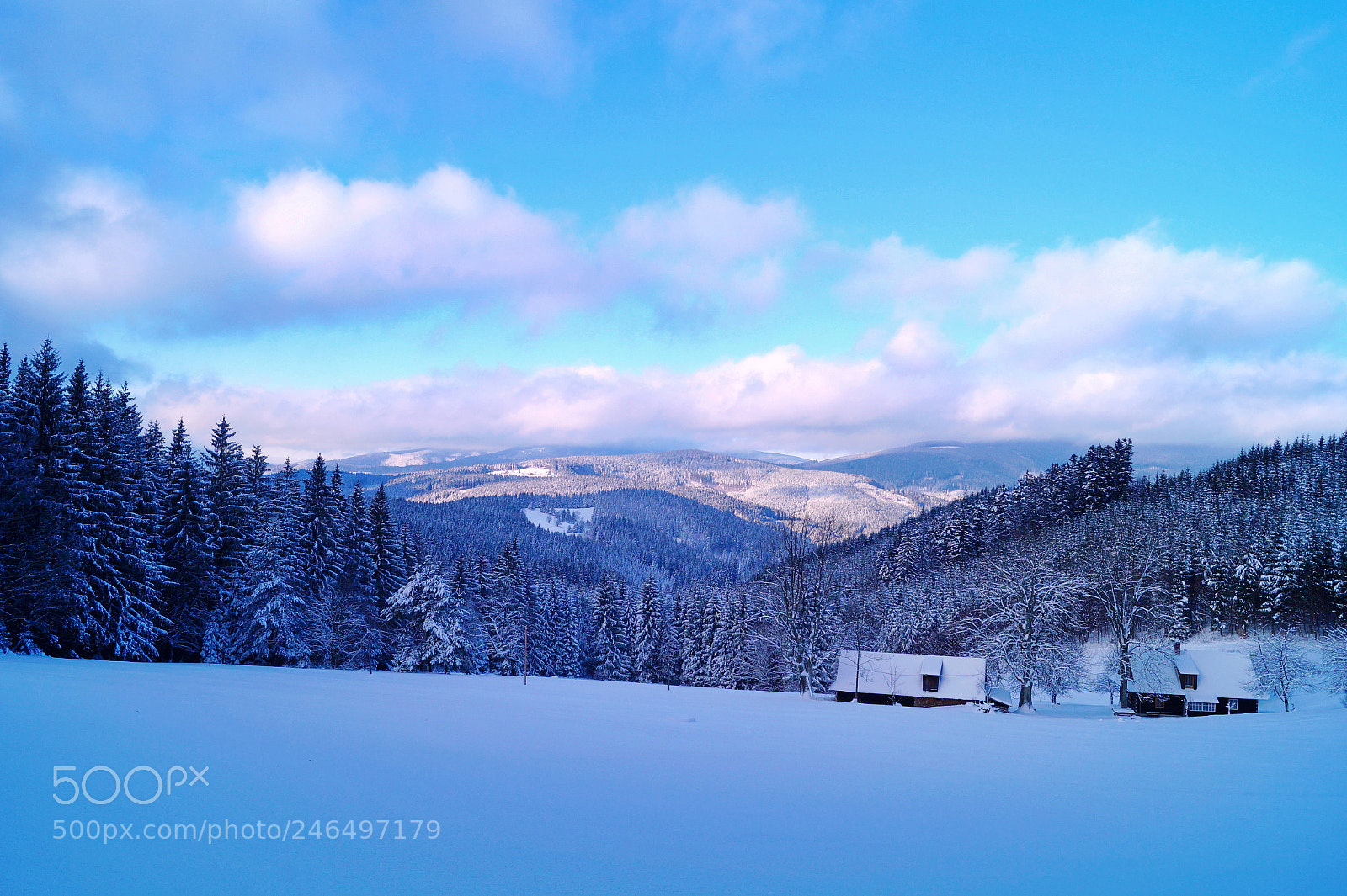 Sony SLT-A58 sample photo. Dream place photography