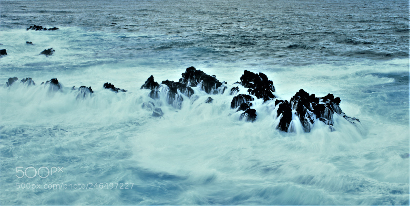 Canon EOS 600D (Rebel EOS T3i / EOS Kiss X5) sample photo. Dream photography