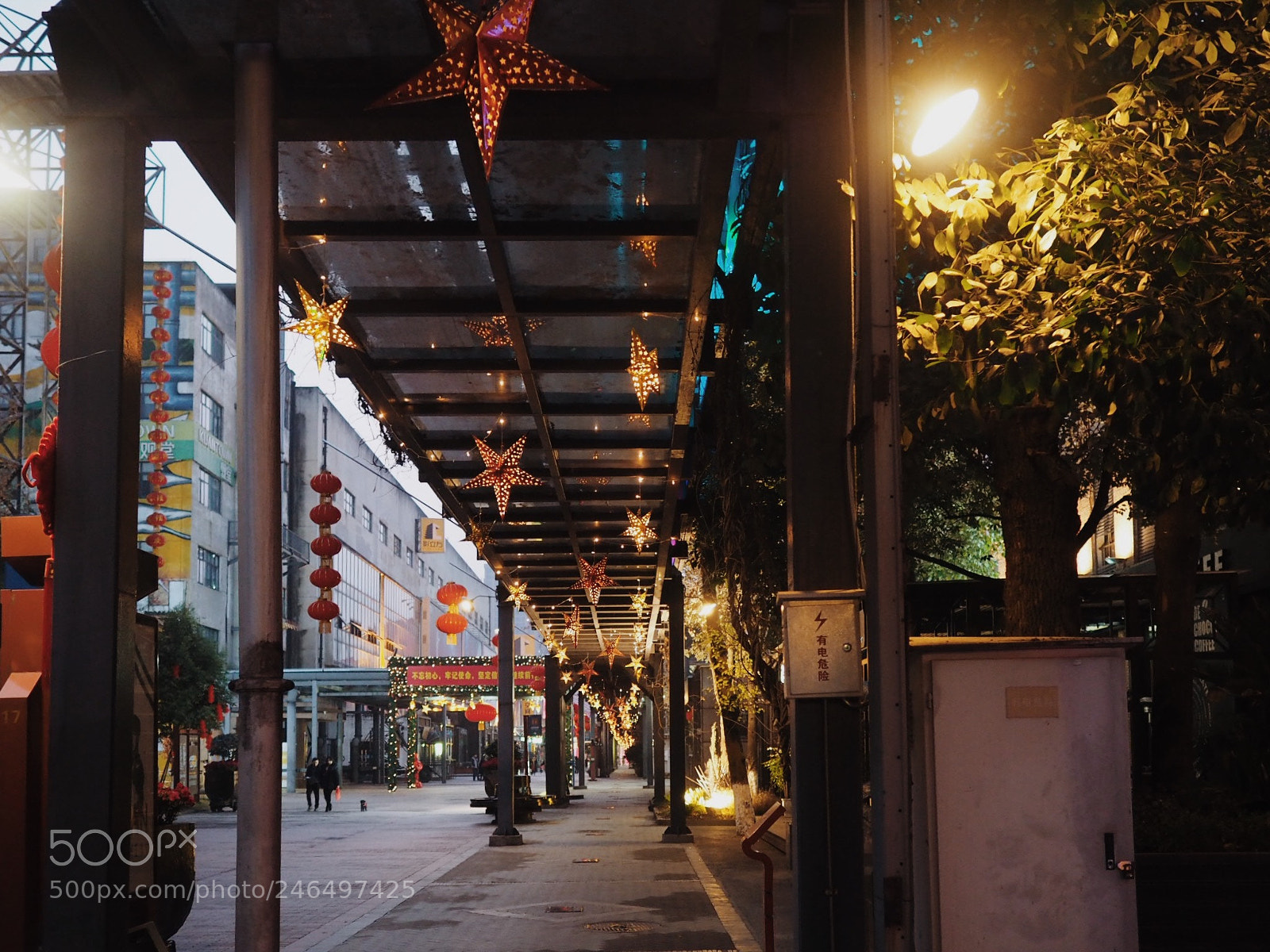 Olympus OM-D E-M5 II sample photo. Untitled photography