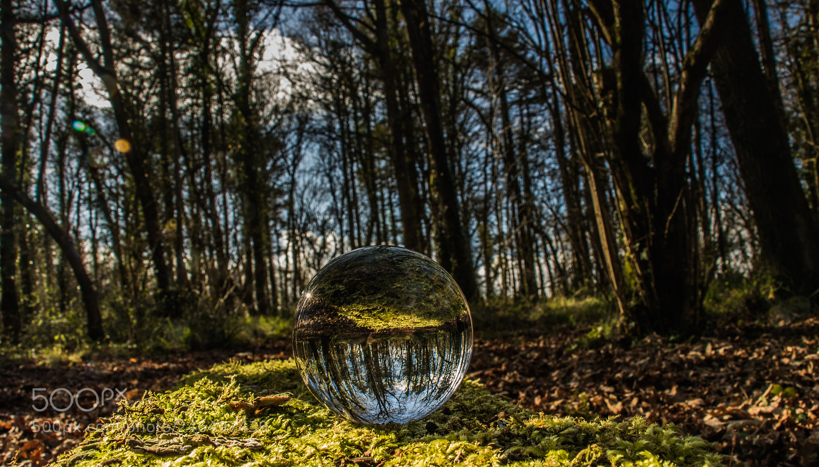 Canon EOS 7D Mark II sample photo. Untitled photography