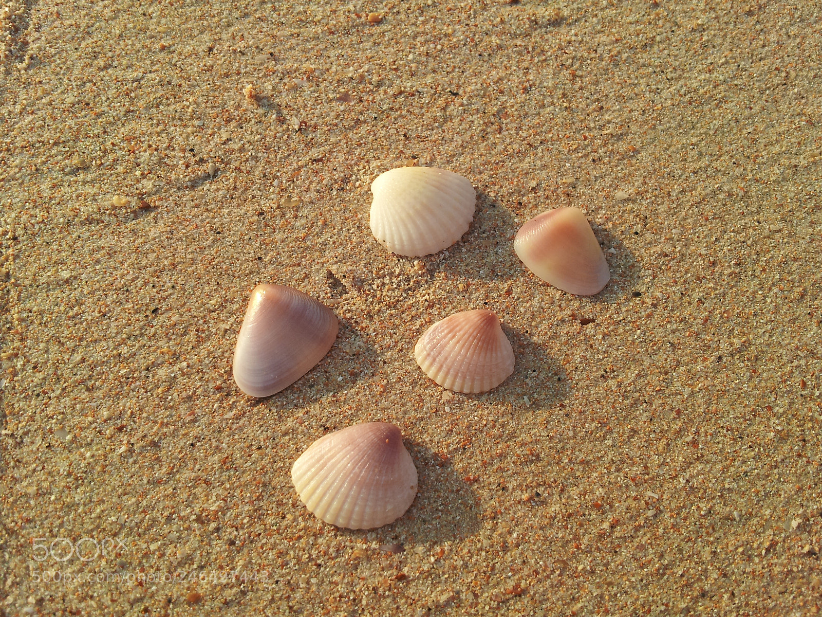 Samsung Galaxy S2 sample photo. Untitled photography