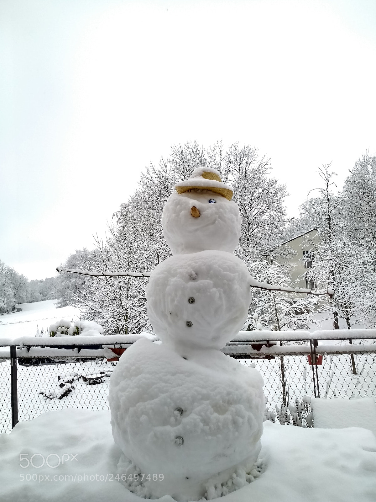Motorola Moto G (5S) sample photo. Winter wonderland p. ii photography