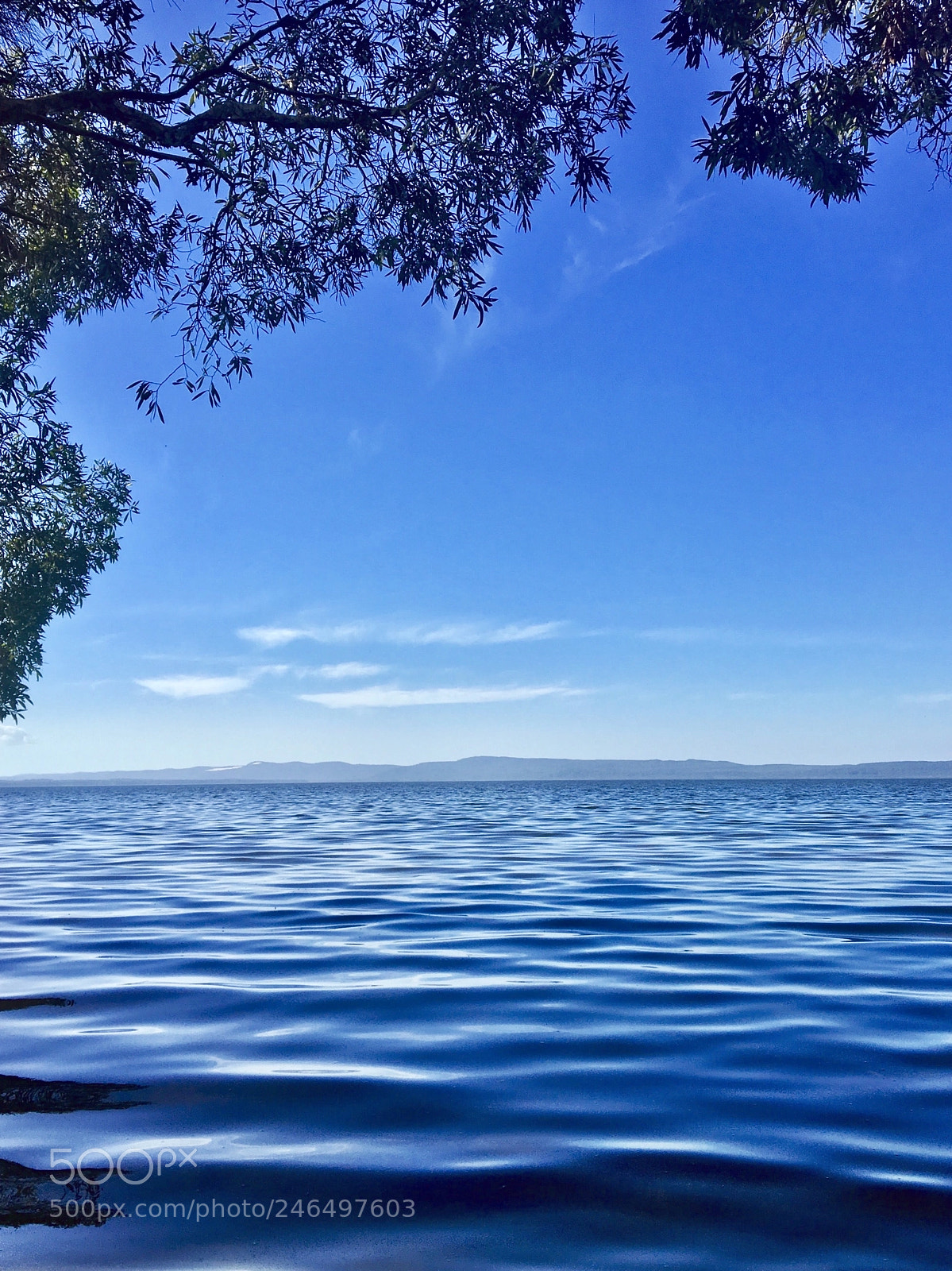 Apple iPhone 6s sample photo. Lake cootharaba at it photography