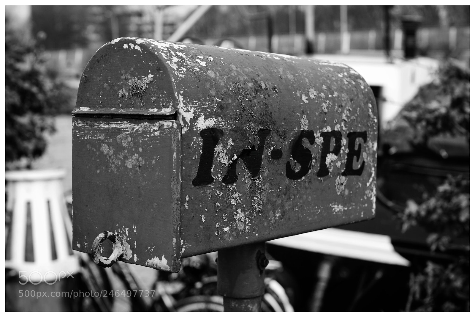 Sony SLT-A68 sample photo. . photography