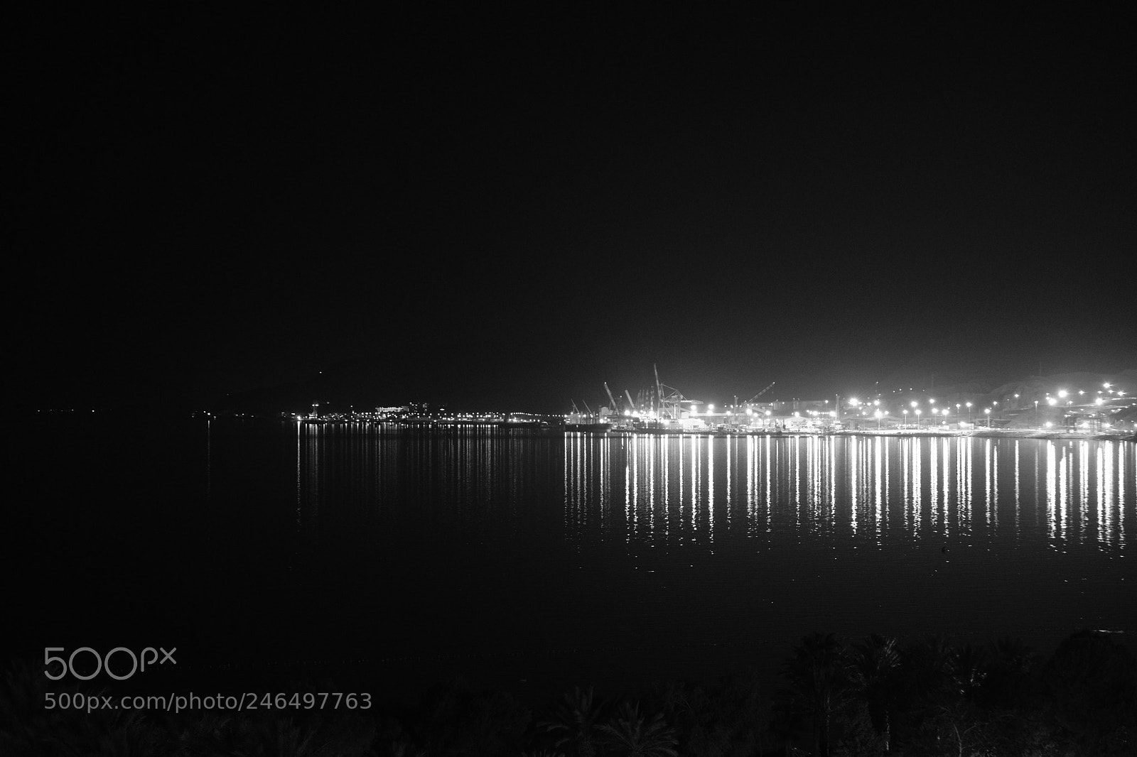 Fujifilm X-T20 sample photo. Untitled photography