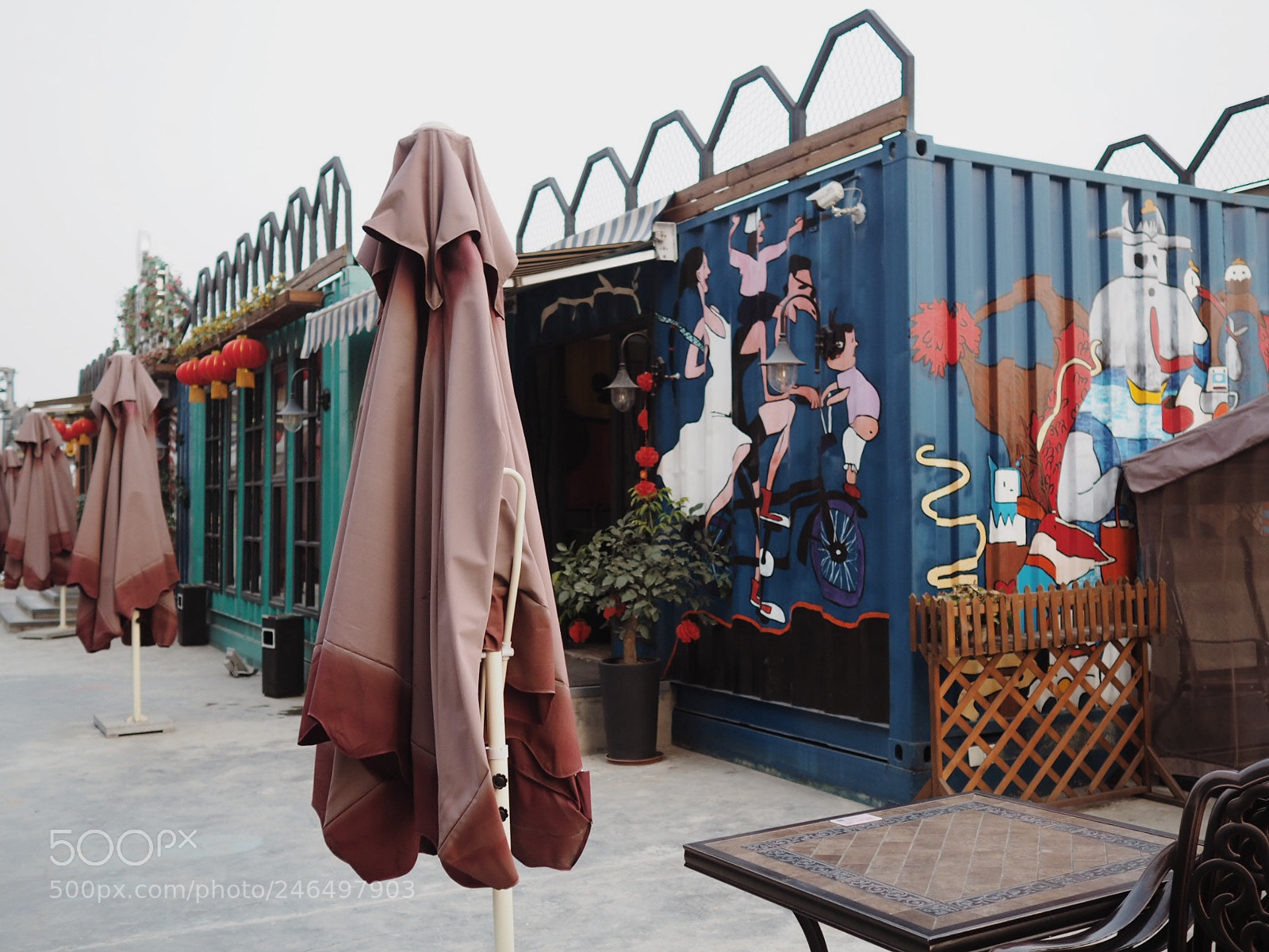 Olympus OM-D E-M5 II sample photo. Untitled photography