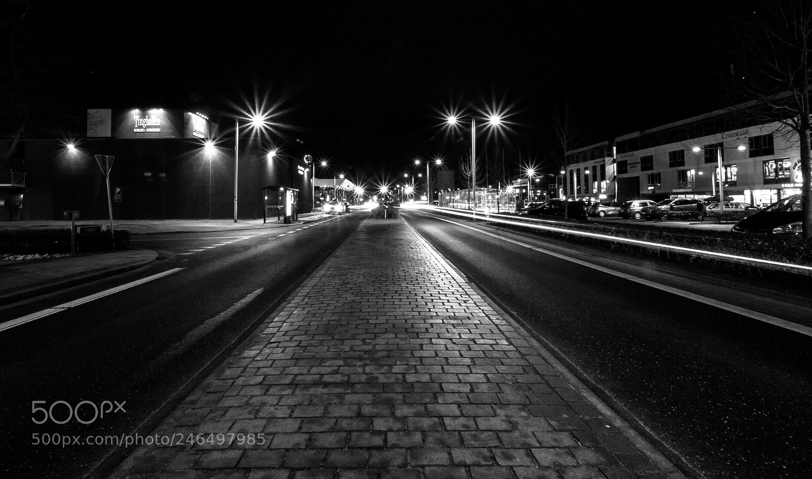 Canon EOS 50D sample photo. Viborg b n () photography