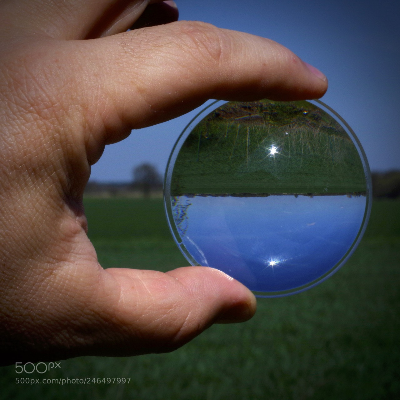 Pentax K-3 sample photo. Upside down photography