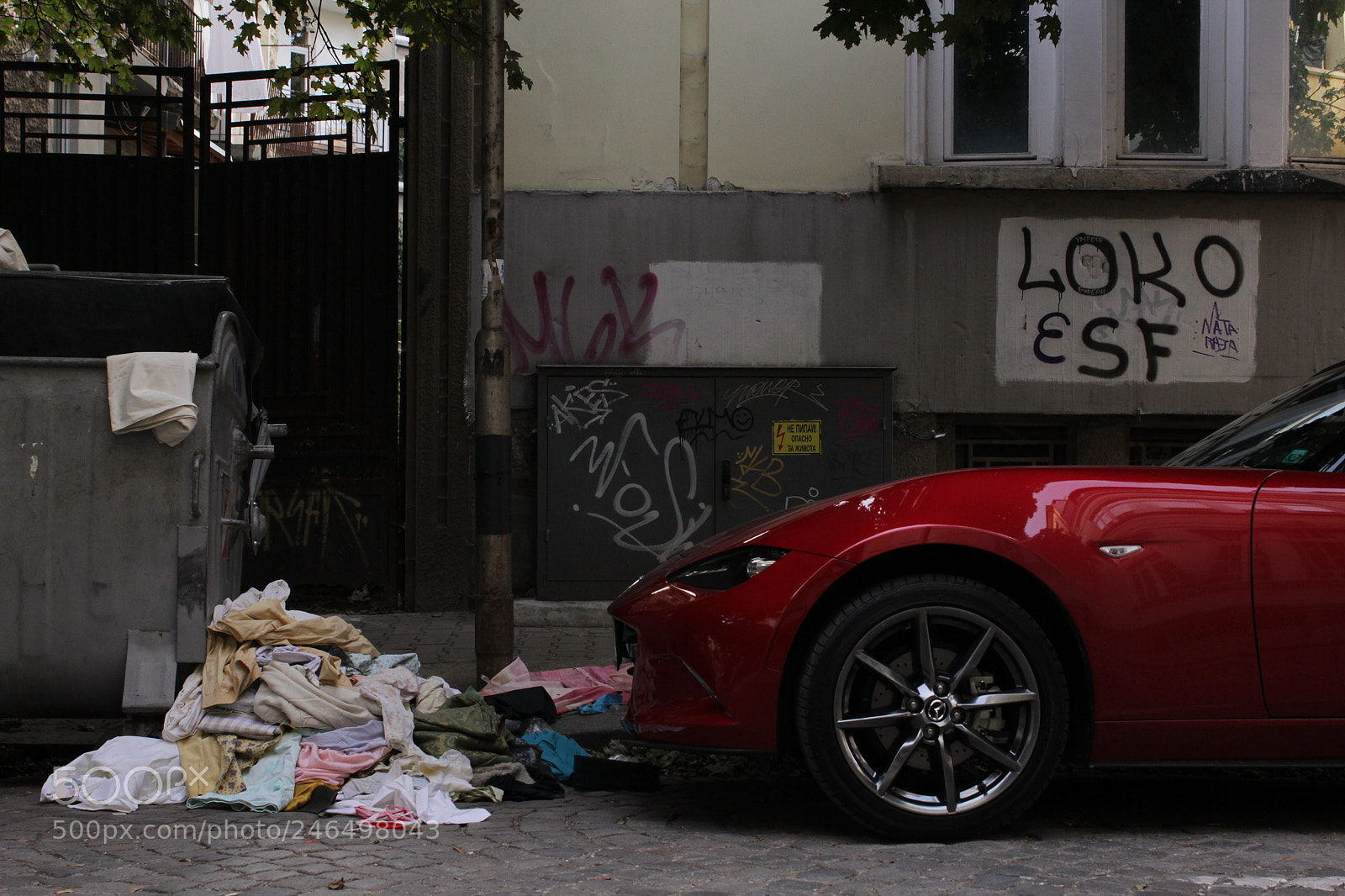Canon EOS 600D (Rebel EOS T3i / EOS Kiss X5) sample photo. Contrast photography