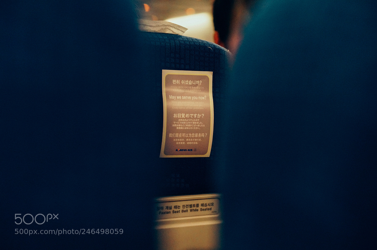 Sony Alpha NEX-5R sample photo. Do not disturb photography