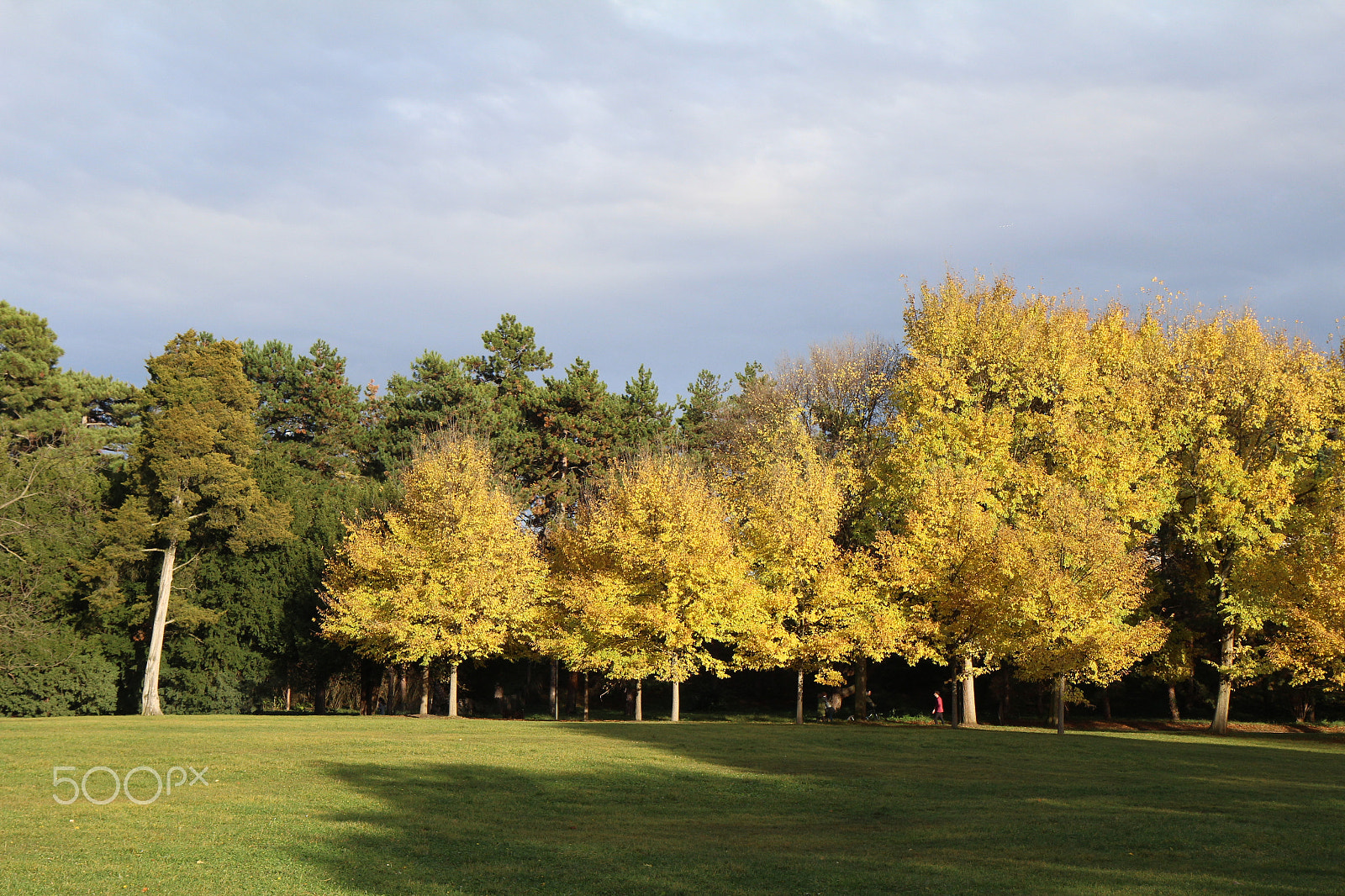 Canon EF-S 17-55mm F2.8 IS USM sample photo. Fall at the parc de la tete d'or in lyon photography