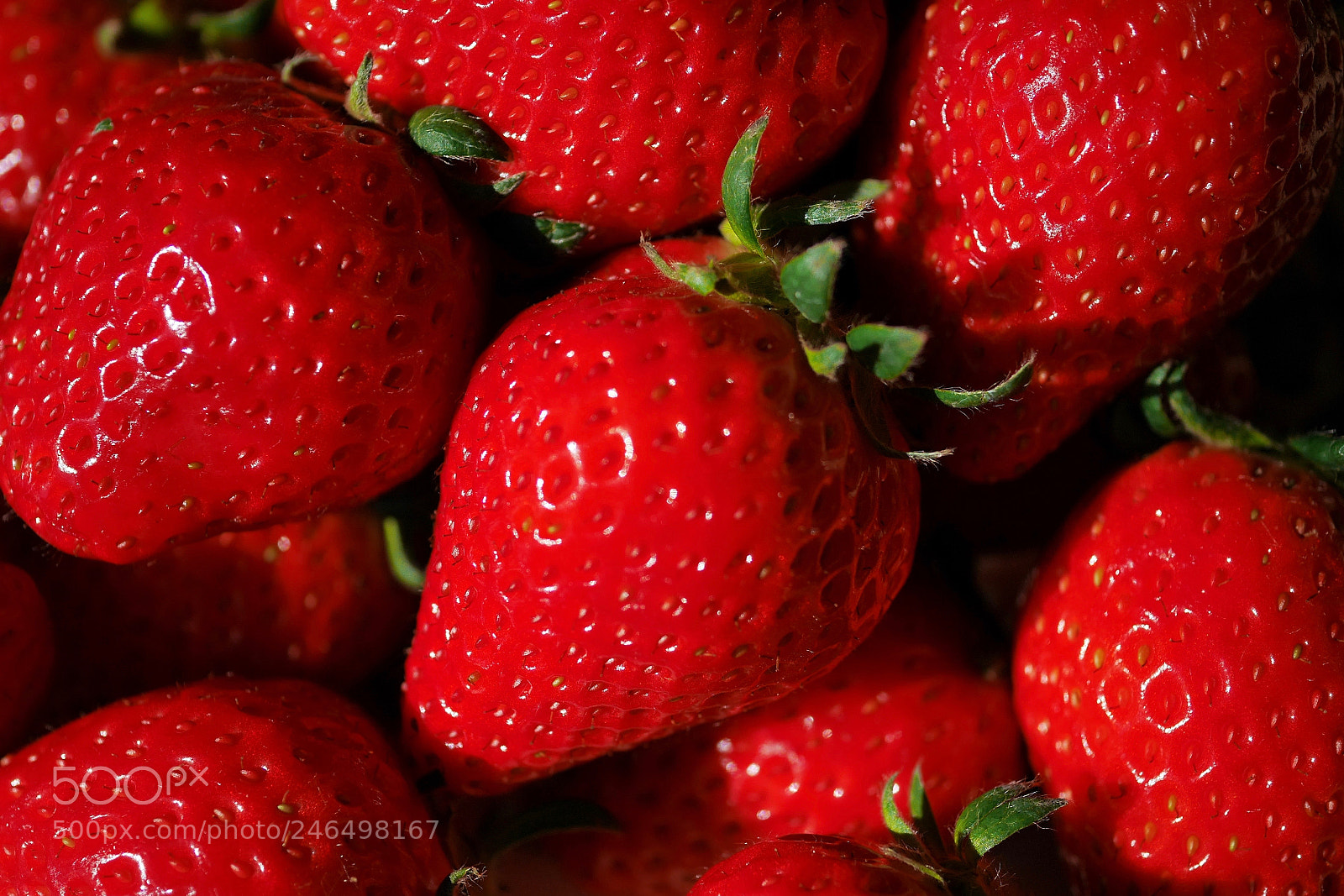 Panasonic Lumix DMC-GF7 sample photo. Strawberry photography