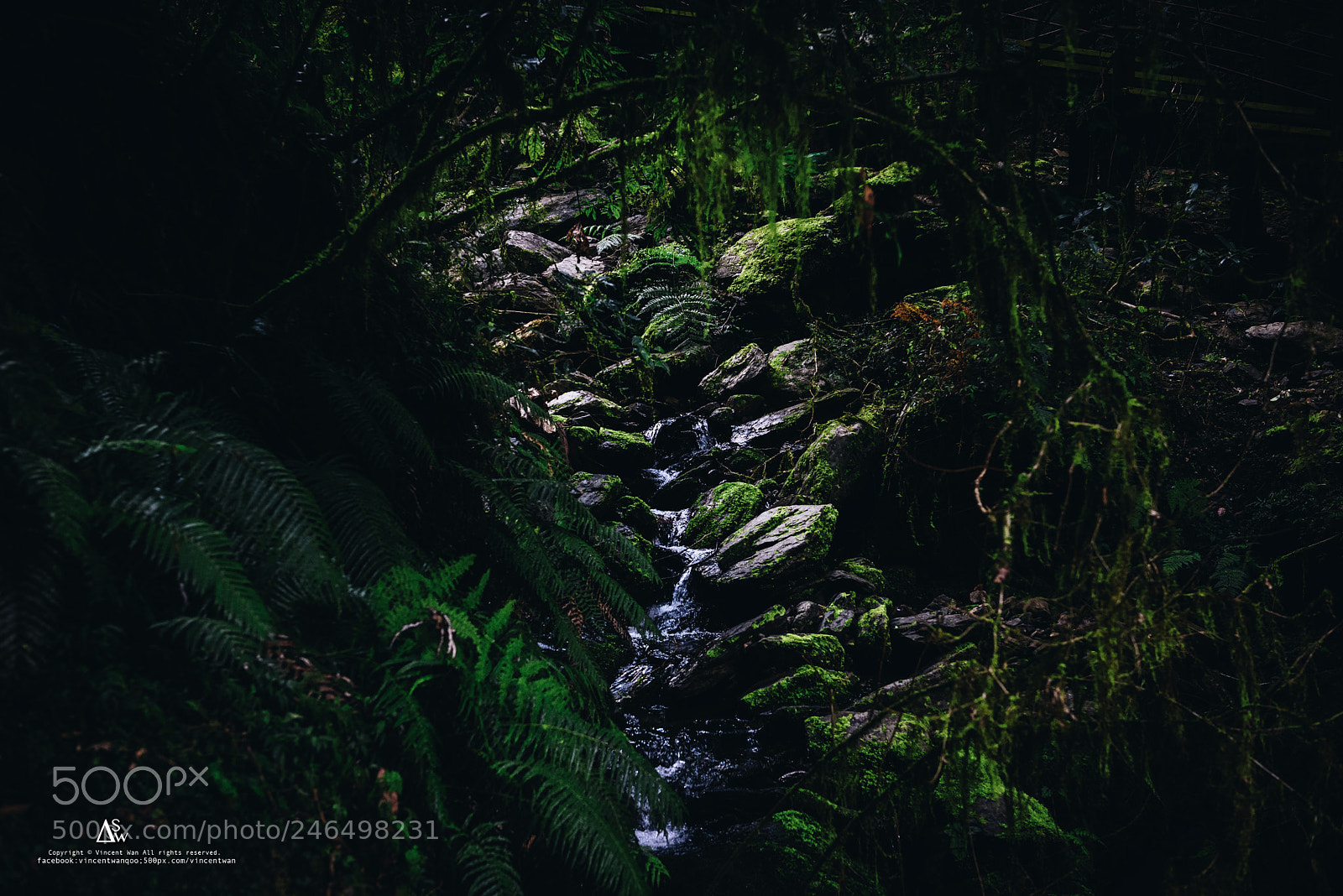 Nikon D610 sample photo. 綠溪-green river photography