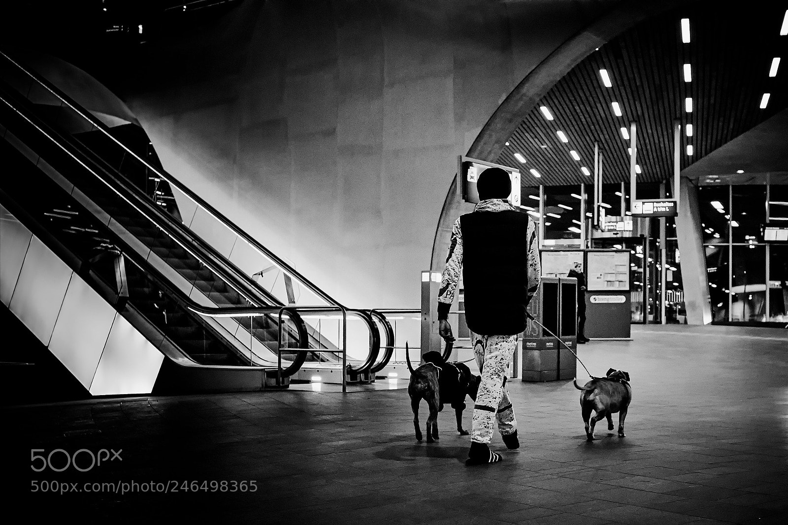 Fujifilm X100F sample photo. Who let the dogs photography