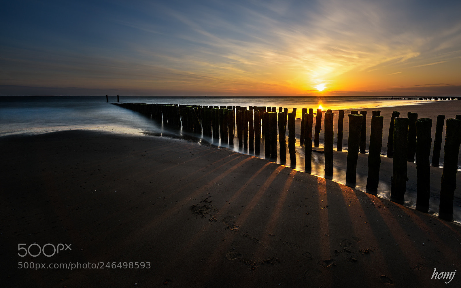 Nikon D810 sample photo. "zeeland" photography