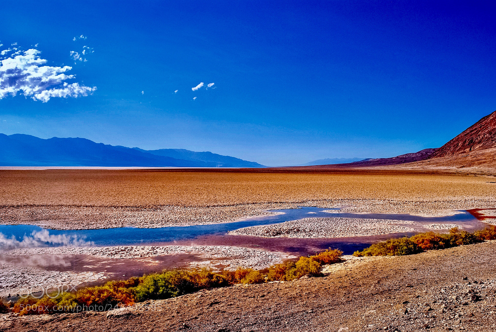 Nikon D60 sample photo. In an alien land photography
