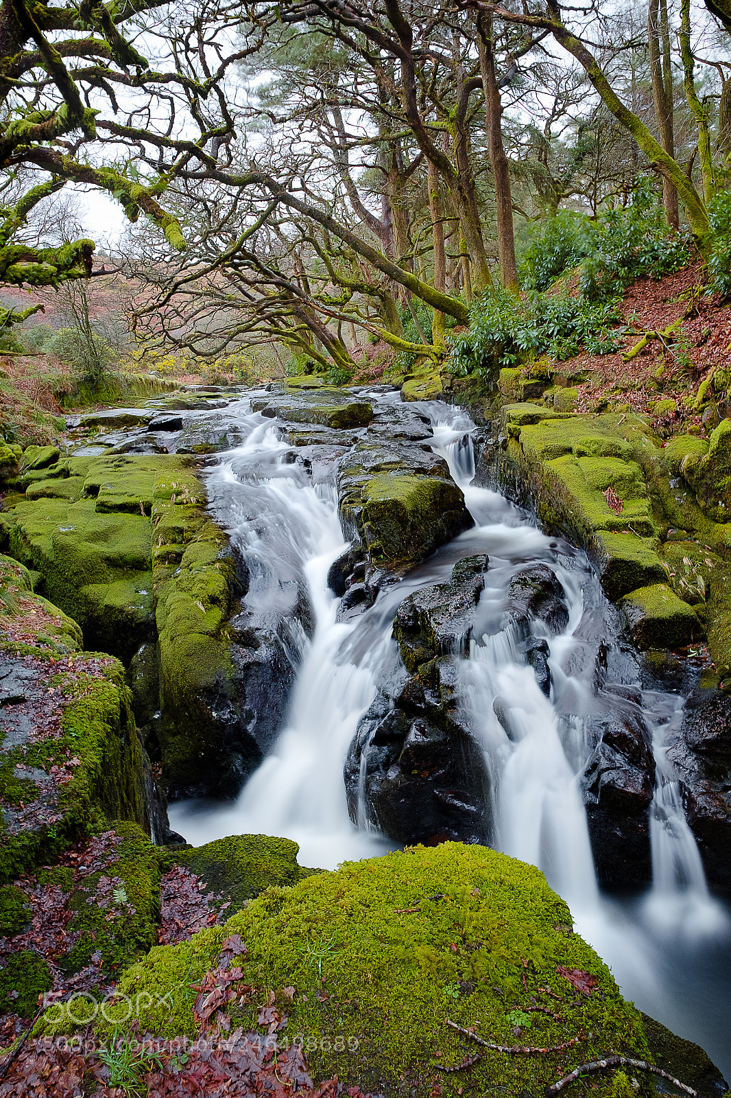 Fujifilm X-T2 sample photo. Down stream photography