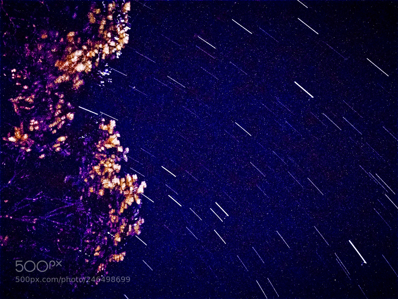 Apple iPhone 8 Plus sample photo. Experimenting with star trails photography