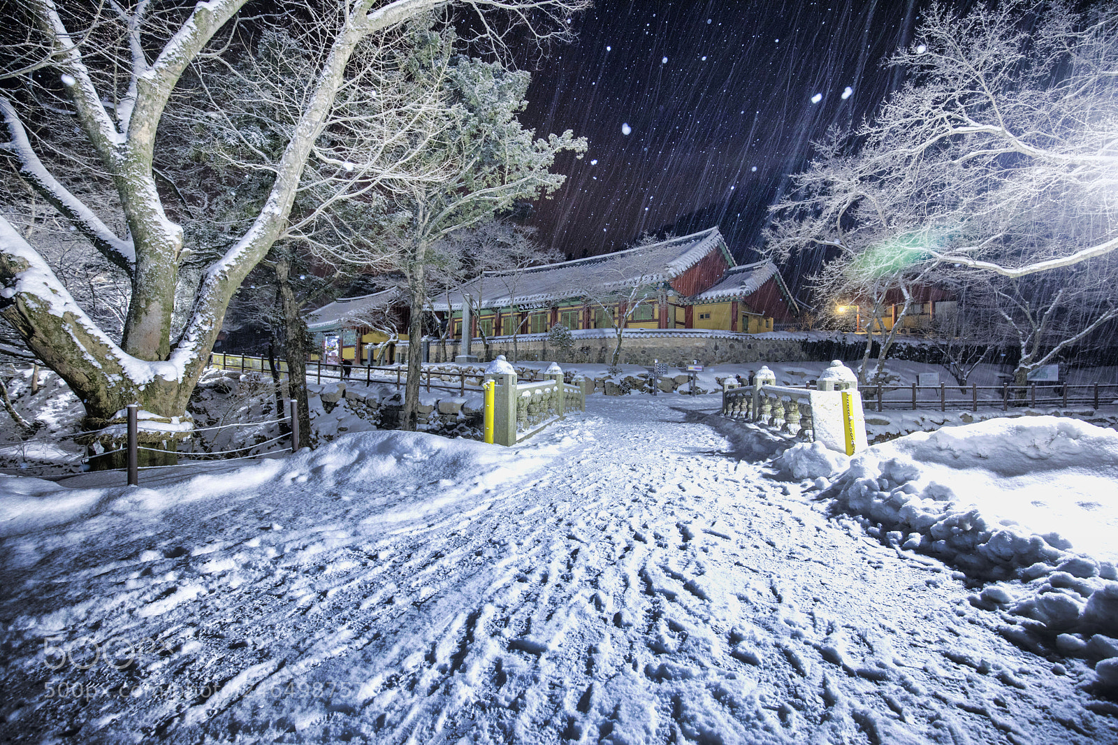 Canon EOS 5D Mark IV sample photo. A temple winter night photography
