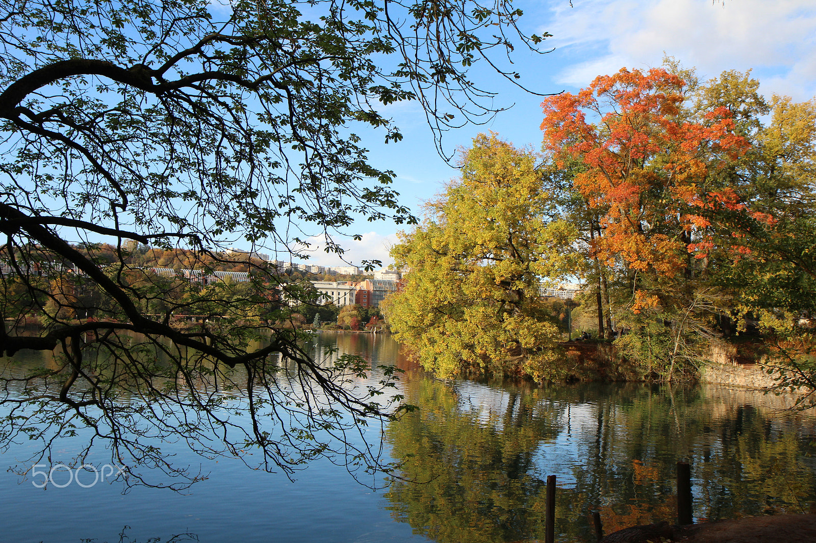 Canon EF-S 17-55mm F2.8 IS USM sample photo. Fall season at parc de la tete d'or in lyon, fr photography