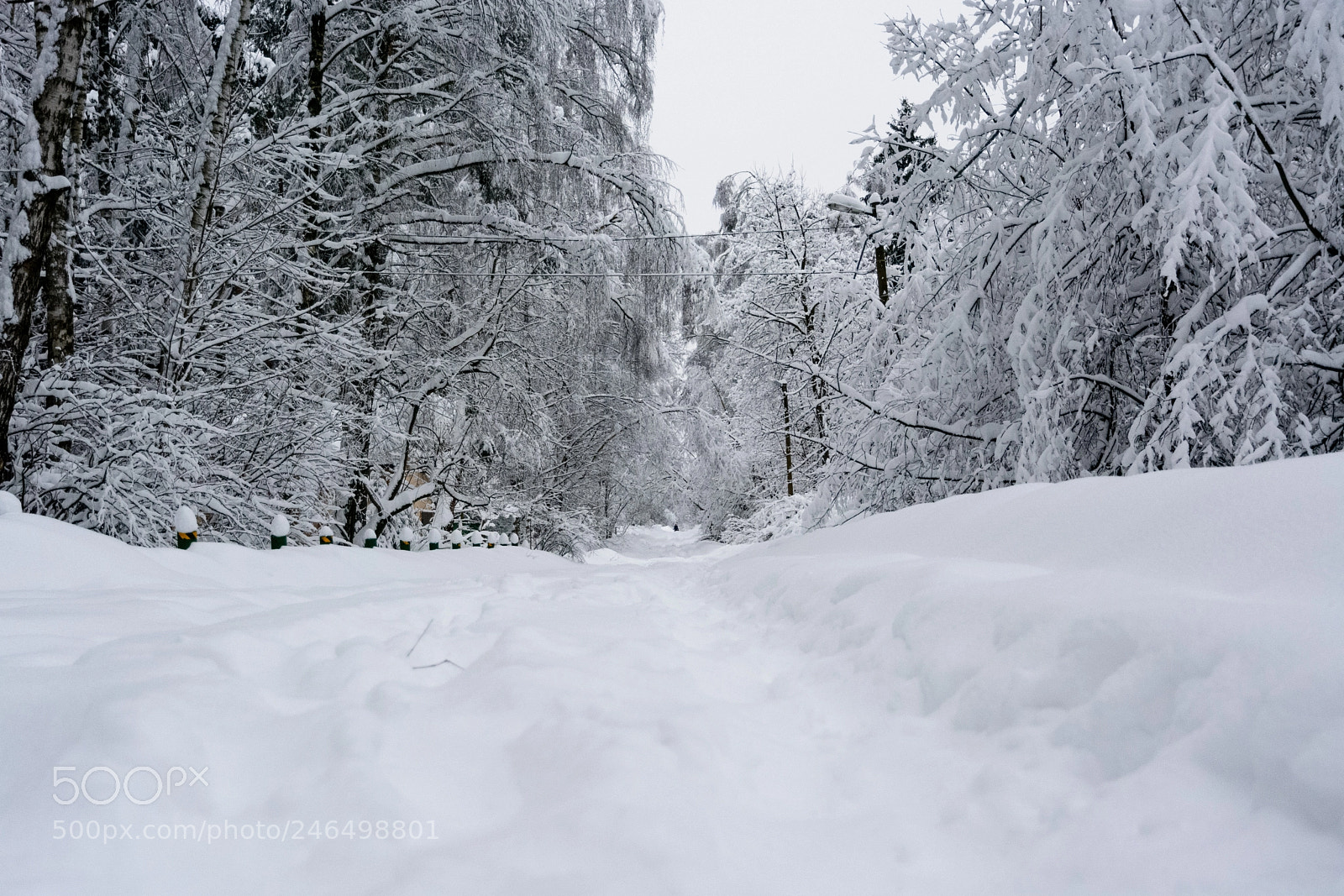 Nikon D5200 sample photo. Snowfall photography